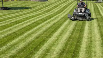 Commercial mower creating precise lawn stripes during professional mowing in Aurora, CO