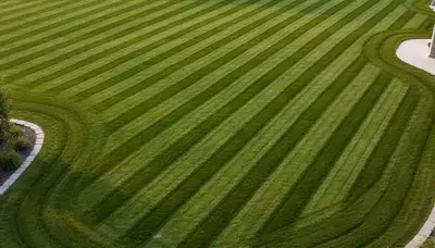 Professional lawn striping and clean edging by Chop Chop Landscaping in Aurora, CO