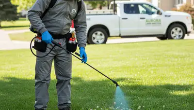 Lawn care technician applying targeted weed control treatment in Aurora, CO with professional sprayer system